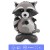 Raccoon
