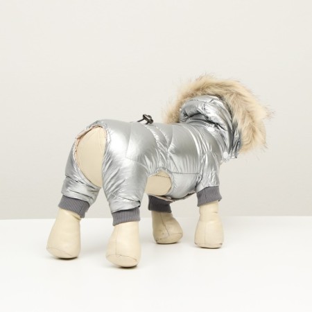 The overalls "boy" with a weight, size 10 (DS 25 cm, OG 34 cm, Osh 24 cm), silver-3
