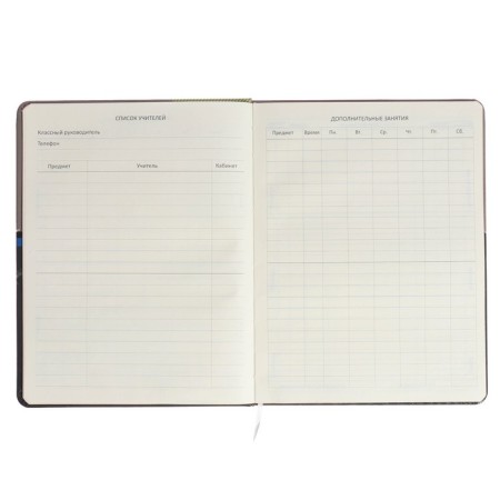 Universal Diary of the 1-11 class of Neon, solid cover, artificial leather, colored cut, silk-screen printing, lies, block 80 g/m2-5
