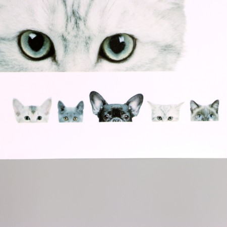 Stick 3D Interior pets 57*42cm-1