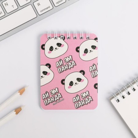 Set of notebook and handle "Pandastik"-6