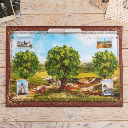 The genealogy book in the box "Tree of Life", 56 sheets, 20 x 26 cm-11