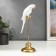 Souvenir Polystone "White Parrot Ara on Golden Pug" 27.5x8.5x9 cm