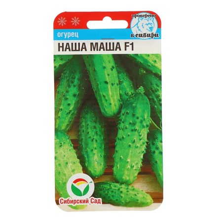 Cucumber seeds ours Masha F1, parthenocarpic, 7 pcs