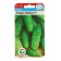Cucumber seeds ours Masha F1, parthenocarpic, 7 pcs
