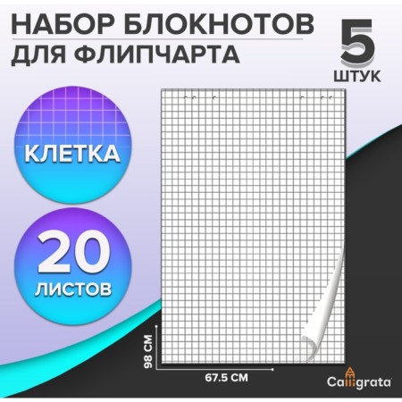 Set of notebooks 5 pieces for flipchart, 67.5 x 98 cm, 20 sheets in a cage, 92%, 80 g/m2, calligrata