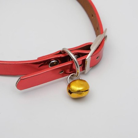 Animal collar-2