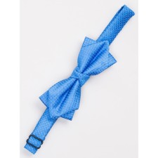 Tie-butter for boys ise, blue color