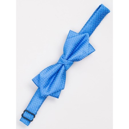 Tie-butter for boys ise, blue color