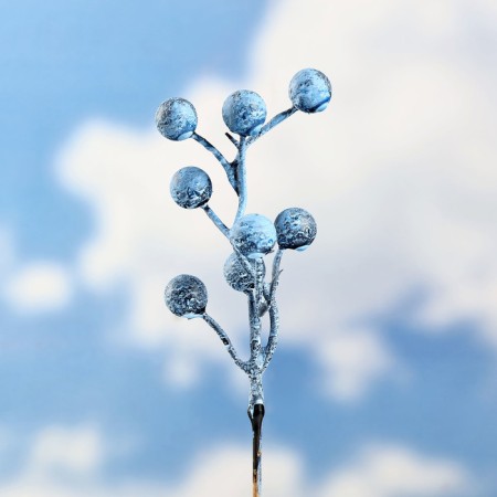 Plug "berries" 4x20/6x15cm, set 9pcs-2