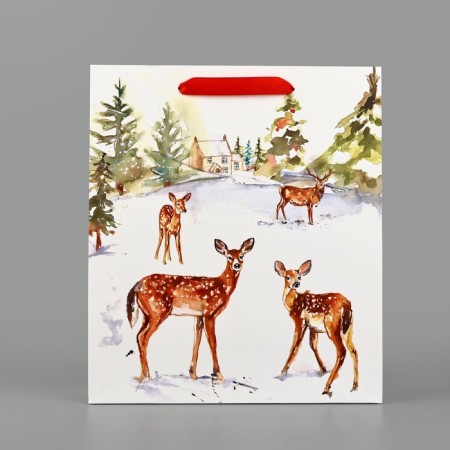 Package Gift New Year Laminated "Walk in the Winter Forest", m 30 x 26 x 9 cm, new year-1