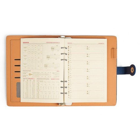 Organizer on the rings of "Classic" A5, 96 sheets in the ruler, with a strap, mix-7