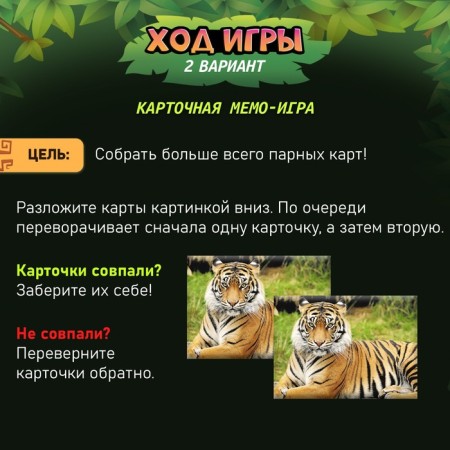 Board game "Armor. Traveling by jungle "-3