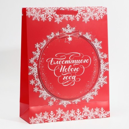Laminated vertical packet “Brilliant New Year”, L 31 x 40 x 11.5 cm, New Year-2