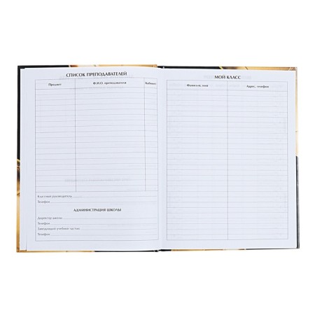Universal diary for grades 1-11, "golden ball", a solid cover 7BC, glossy lamination, 40 sheets-5