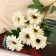 Artificial flowers "Garde Garden" 6x50 cm, white