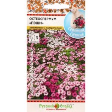 Flowers of osteosopuum 