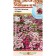 Flowers of osteosopuum "Pashn", mixture, 15 pcs
