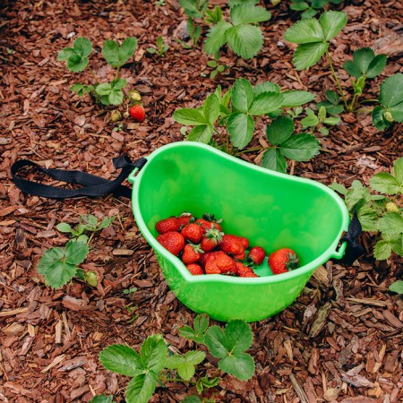 Berry collection capacity, 3 l, green-12