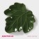 Serving share "Leaf", 20.2 × 2.2 cm, green color