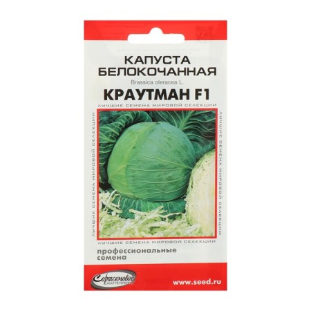 Cabbage seeds of white Krautman, F1, 11 pcs.-2