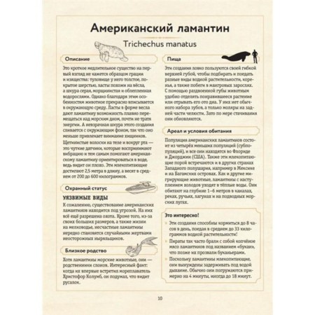 Encyclopedia of amazing animals. Sami Bailey-5