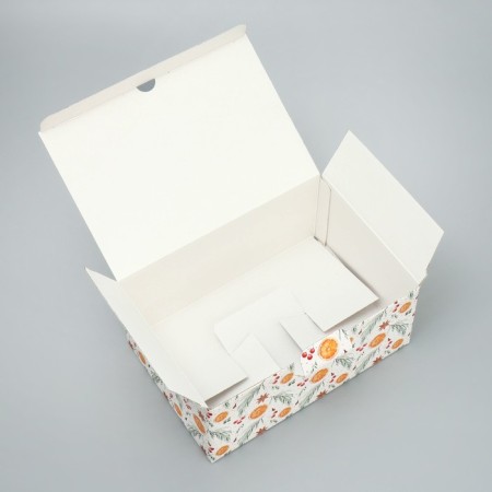 Box - Penal "Happiness", 22 x 15 x 10 cm, New Year-2