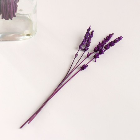 Lavender dried flowers set, banch length 15 (+/- 6 cm), lilac-3