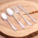 Tourist set in a case, fork, spoon, knife, teaspoon