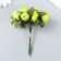 Flowers for decorating "Rose Blanca" light green 1 bouquet = 12 colors 10 cm