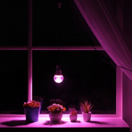 Simple for plants 15 W, 12 μmol/s, wire 1.7 meters with a switch, Velcro on the window