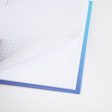 Notepad A6 in a solid cover, 40 sheets "Raccoon"-2