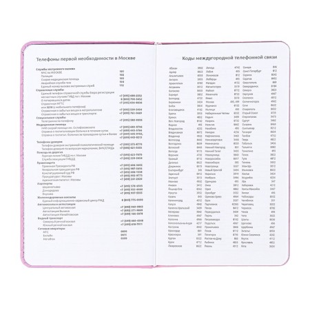 PROVING PROMMAN NOTED, 80 sheets, 100x170 mm, Devente.tailor, solid cover to leatherette with foam, snapshot, lies, block 70%, lilac-8