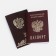 Passport cover, brown color