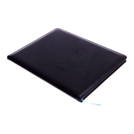 School diary, 5-11 grade, PVC cover, football player, brown-3