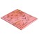 Diary for grades 5-11, "Magic butterflies", solid cover 7BC, matte lamination, foil embossing, 48 sheets