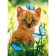 Diamond mosaic with full filling on the canvas "Kitten with butterflies", 15 x 21 cm