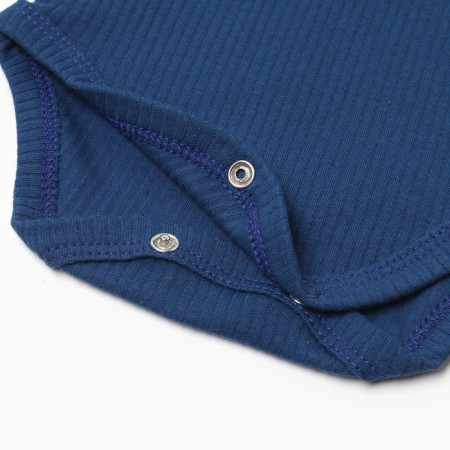 Body with DL. Sleeve crumb I am Blueberry p. 80-86, blue-3