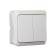 Luazon Lighting "League" switch, 10 A, 2 keys, invoices, white