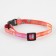 A collar for dogs and cats with Fasteks "Wild and Fluffy", 30x1 cm
