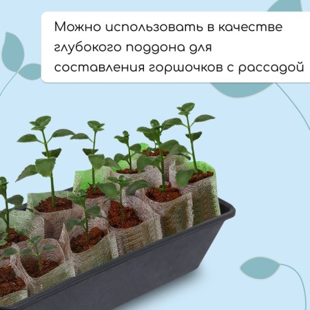 Box for seedlings, 36 × 14 × 9 cm, 3 l, black, "crop-7"-3