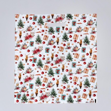 Package "Christmas Evening", polyethylene. with cut. pen, 38x47 cm, 60 μm set 5 pieces