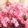 Artificial stained flowers 2x60 cm, pink mix