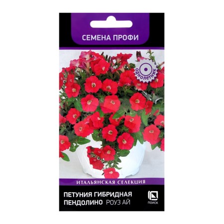 Flowers of Petunia Hybrid Pendolino Rose Ai, 5pcs