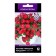 Flowers of Petunia Hybrid Pendolino Rose Ai, 5pcs