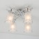 Citilux “Rivoli” CL104140, 42.5x42.5 cm, 4x75W, E27, Gray color