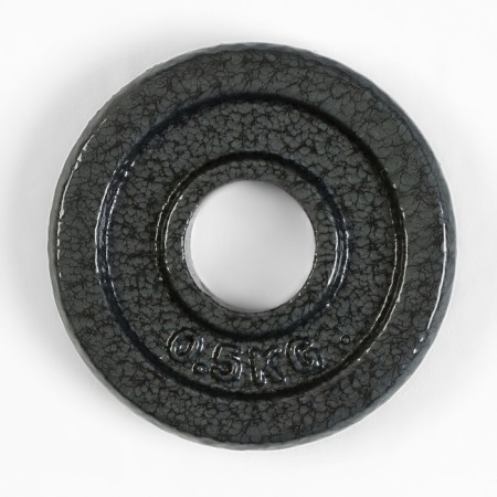 Диск 0,5 кг, d=29 мм-1