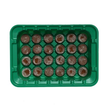 Mini-Pirate for seedlings: coconut tablet D = 3 cm (24 pcs.), Greenhouse 25 × 17.5 cm, jiffy-3