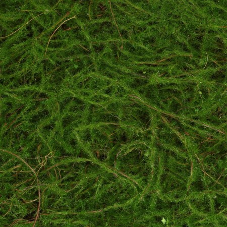 Decorative panel, 90 × 40 cm, "Paporotnik", Greengo-11