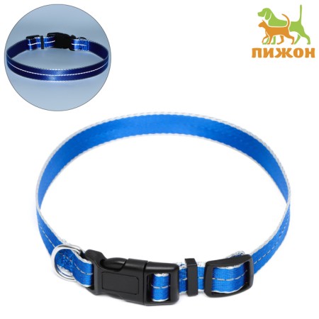 Collar of the reflective "Neon", width 2.5 cm, blue